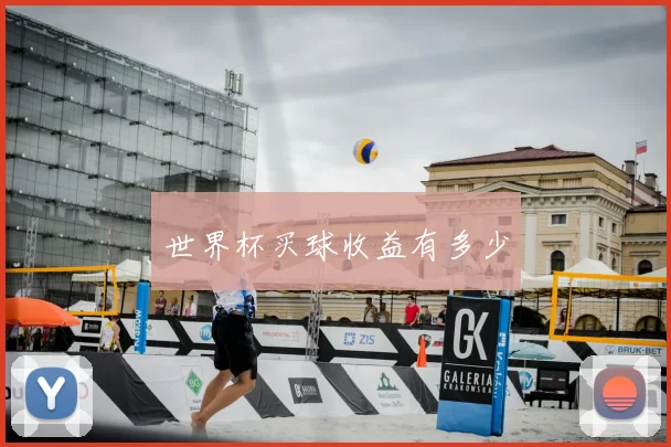 世界杯买球收益有多少