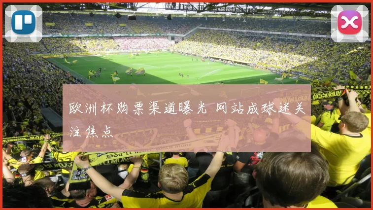 欧洲杯购票渠道曝光 网站成球迷关注焦点