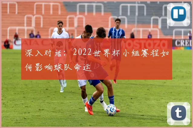 深入对话：2022世界杯小组赛程如何影响球队命运