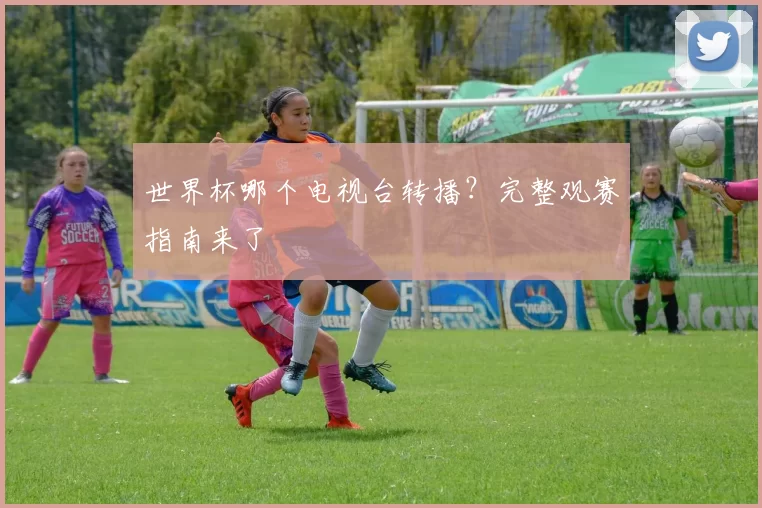 世界杯哪个电视台转播？完整观赛指南来了