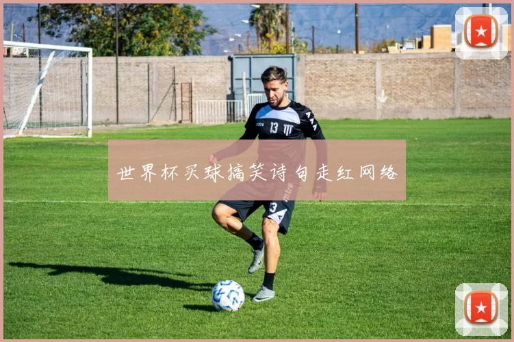 世界杯买球搞笑诗句走红网络