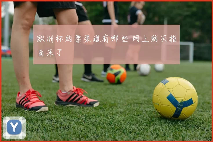 欧洲杯购票渠道有哪些 网上购买指南来了
