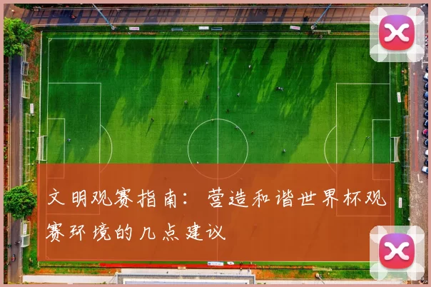 文明观赛指南：营造和谐世界杯观赛环境的几点建议