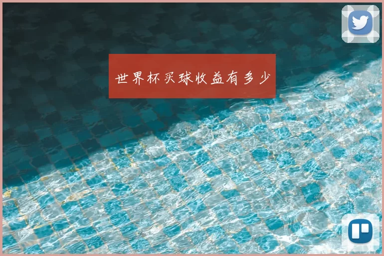 世界杯买球收益有多少