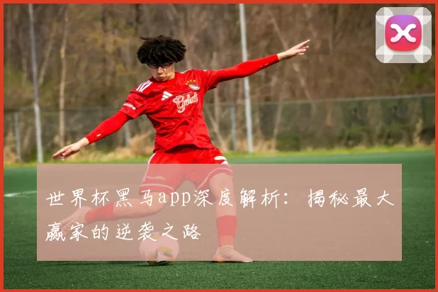 世界杯黑马app深度解析：揭秘最大赢家的逆袭之路
