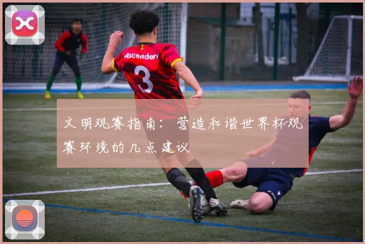 文明观赛指南：营造和谐世界杯观赛环境的几点建议